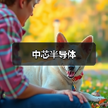 中芯半导体(图3) 中芯半导体(图3)