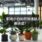 职场小白如何快速融入新环境?(图4) 职场小白如何快速融入新环境?(图4)