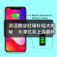 灵活就业社保补贴大揭秘:天津北京上海最新政策详解(图2) 灵活就业社保补贴大揭秘:天津北京上海最新政策详解(图2)