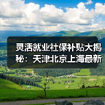 灵活就业社保补贴大揭秘:天津北京上海最新政策详解(图3) 灵活就业社保补贴大揭秘:天津北京上海最新政策详解(图3)
