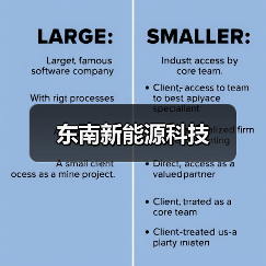 东南新能源科技（图3）