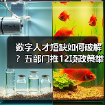数字人才短缺如何破解?五部门推12项政策举措(图3) 数字人才短缺如何破解?五部门推12项政策举措(图3)