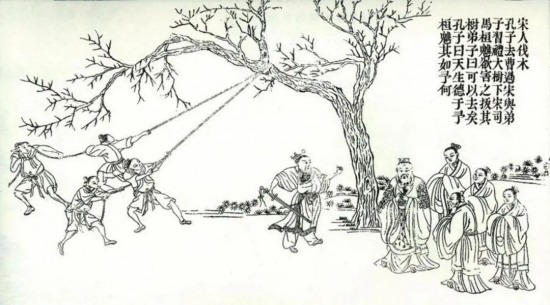 宝钗黛玉燕窝粥事件解析：职场人情与真心试探的边界(图11)